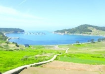 슬로시티 청산도의 명품 상서마을!