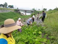 충주, 직능단체 곳곳서 환경정화활동