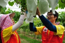 백석사회봉사단 하계 농촌봉사 활동 전개
