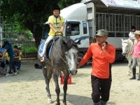 경북 영주 문수초.평은초, 공동 승마체험 수업 실시