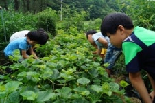 경북 영주 이산초등 주말농장에 와보세요