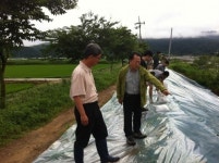 철원군 청양3리 제방 붕괴에 따른 응급복구 피해 줄여