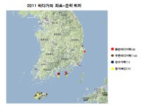 서해 출현 거북은 붉은 바다거북
