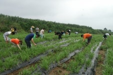 “함께해요! 농촌 행복 나눔”