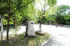 태백시, 황지연못 새 단장