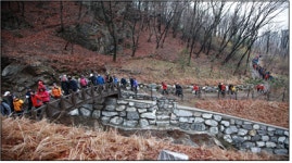 서초구, 우면산 둘레길 걷기대회 개최