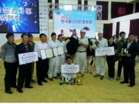 철원군, 한국 홀스타인 낙농 품평회 전국 1위 수상