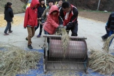 상운초, 저탄소 녹색성장을 위한 농촌체험학습