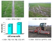 ‘겨울 풀사료’ 눌러주고 배수로 만들어야 잘 커