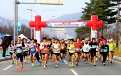 전국 육상인, 대구에서 세계를 향해 달리다