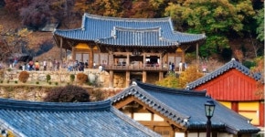 영주시, 힐링관광.아동친화.안전특별시 만들기 주력