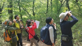 남산 ‘새’ 시민모니터링단 모집