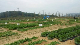 예천군, 신도시 입주민 대상 텃밭 분양 사업 추진