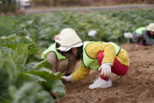 영등포구, 오쇠동 ‘꿈이 닿은 농장’ 115구좌 분양