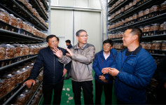 [포토] 농진청, 허건량 차장 표고버섯 봉지재배 현장 방문