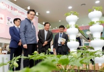 농진청 “인삼, 보고 즐기고 느끼러 오세요”