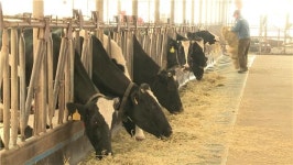 국내산 풀사료 활용 우수사례 공유 자리 마련