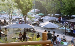 울산남구, 문수힐링피크닉장 휴일 가족나들이 장소로 각광