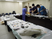 폐사 야생조류, 웨스트나일 바이러스 미검출