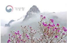 ‘구름, 바람, 햇살과 그 찬란함’ 展 열려