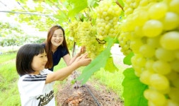 [포토] 푸르른 포도 한아름, 싱그러운 미소도 한가득