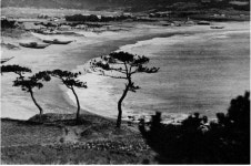 부산근대역사관 특별사진전 개최 !