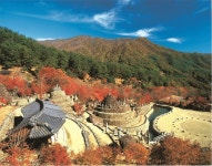 하동군 지리산 청학동 친환경지구 육성
