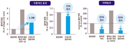 구상나무 정유, 피부미백에 탁월