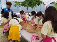 경산시 삽살개와 함께하는 힐링체험