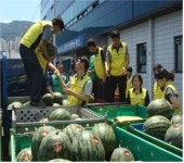 부산 엄궁 농산물 도매시장 사랑의 수박 나눠요