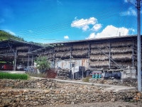 [기고] ‘에너지내일로’ 6일차 - 경북 안동, 의성