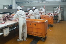 영주시, 추석대비 부정축산물 합동단속