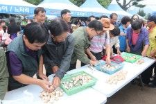 경주버섯축제 성황리 마무리