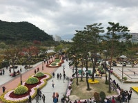 가을의 정취 2018 양산국화향연