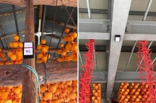 바인테크, 경상남도 함양군과 IoT 온습도 관리 플랫폼 구축