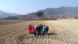 하동군 평사리들판 논두렁 축구대회 연다