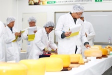 “목장형 자연치즈 제조 기술, 함께 배워요”