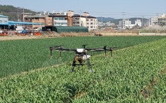 고령군 무인항공 병해충 방제 실시