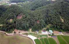 재선충병 청정지역 전환, 현지조사 실시