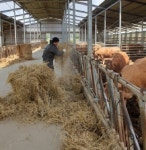 경주시, 2019년 상반기 가축통계조사 실시