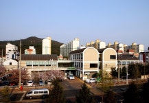 경주시,치매환자 인지재활 프로그램 운영