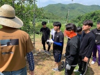 군위군, 삼시세끼 군위농장편 운영