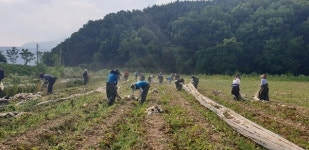 구미시설공단, 노사합동 영농지원