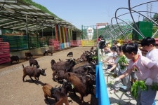 “불볕더위, 농촌으로 떠나요”