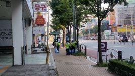 김천시,연도변 환경정비 실시