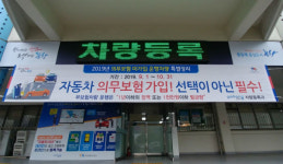 포항시, 자동차 의무보험 미가입 운행사건 특별정리