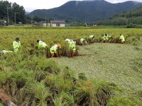 청송군 태풍 피해농가 일손돕기 ‘구슬땀’