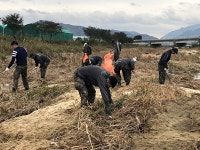 성주군 하천정화 사업실시