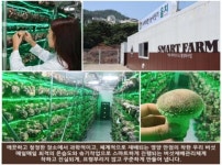 부산시, ’2단계 스마트팜 플랫폼‘ 확장