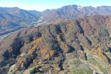 산림청, 올해 숲가꾸기 우수사업장 선정
